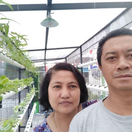 Titan'S Greenhouse 바뉴왕기 외부 사진